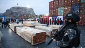 Fiscalía de Chile revela que droga impregnada en madera provenía de Pando, Santa Cruz y Cochabamba
