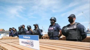 Chile frena por 60 días la destrucción de madera incautada; empresas exigen nuevas pericias